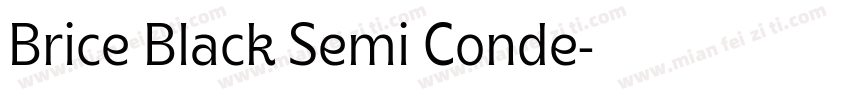 Brice Black Semi Conde字体转换